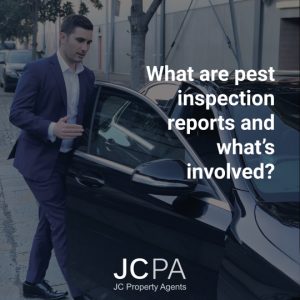 What are pest inspection reports and what’s involved?