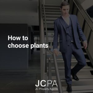 How to choose plants